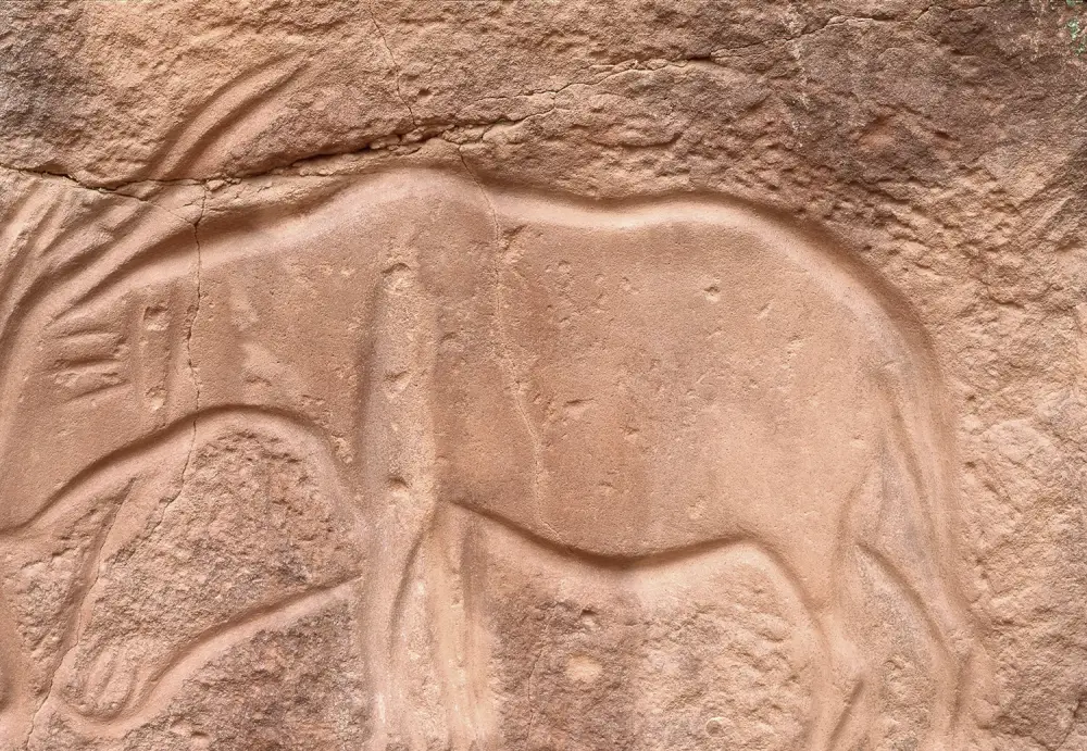 Roc aux Sorciers à Angle sur l'Anglin